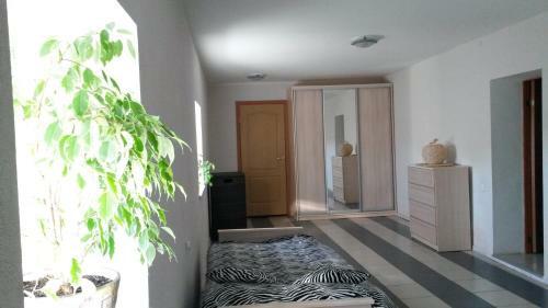 Hostal Guest House On Larkina 18