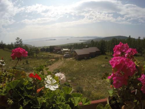 Guest Houses On Rodnye Berega