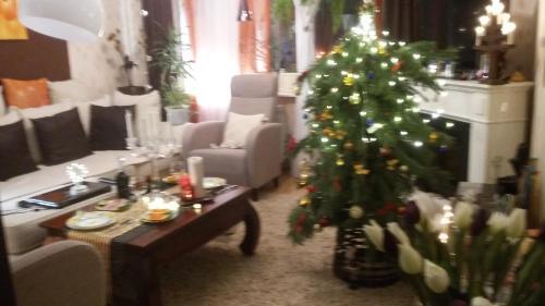 Apartment On Pervomayskaya 20