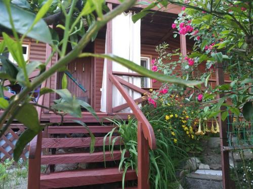 Hostal Guest House On The Sea
