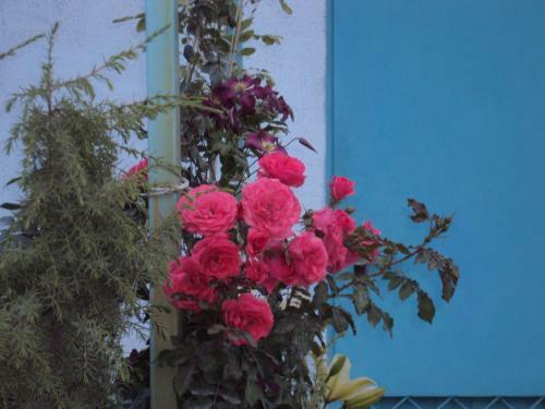 Hostal Guest House V Dolinie Roz