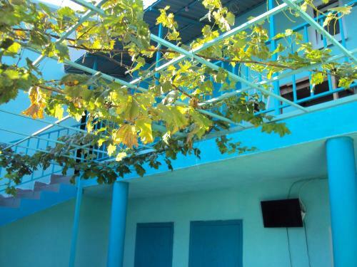 Hostal Guest House V Dolinie Roz