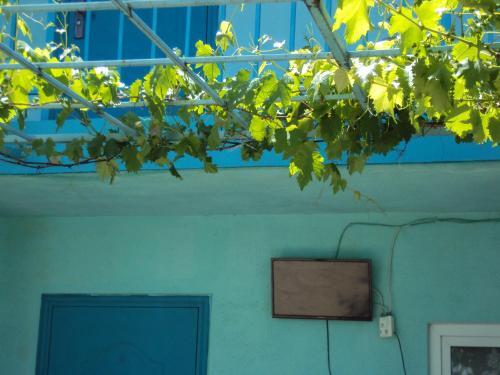 Hostal Guest House V Dolinie Roz