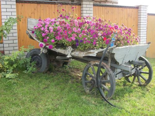 Hostal Suzdal-terem Guest House