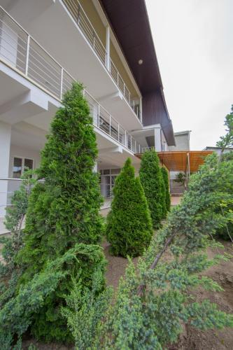 Hostal Guest House Solnechnaya 7