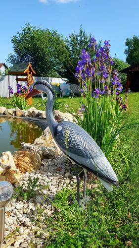 Agroturismo Guest Complex Volkovskoe