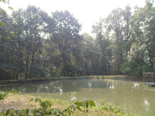 Hostal Vacation House In Yasnaya Polyana
