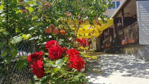 Hostal Guest House Veronika