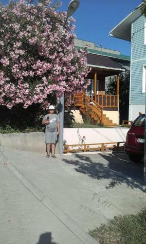 Hostal Zelenaya Gorka Guest House