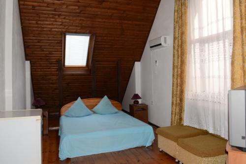 Hostal U Vladimira Guesthouse