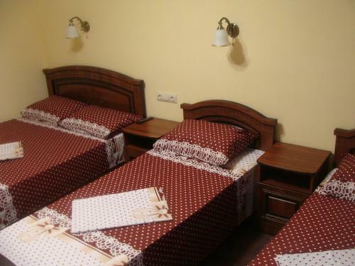 Hostal U Alika I Iriny Guest House