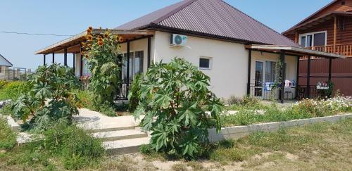 Hostal Family Stay Yuzhny