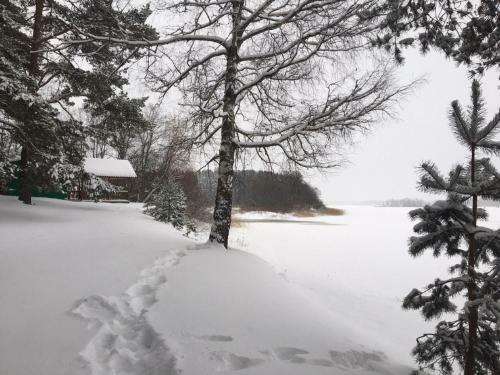 Seliger Cottage
