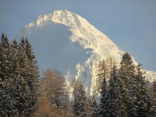 Albergue Cvet Gora - Camping, Glamping And Accomodations