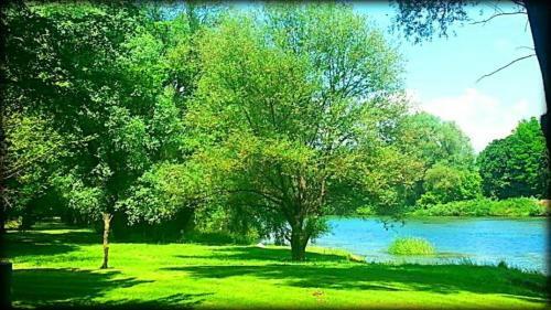 River Kolpa Apartment