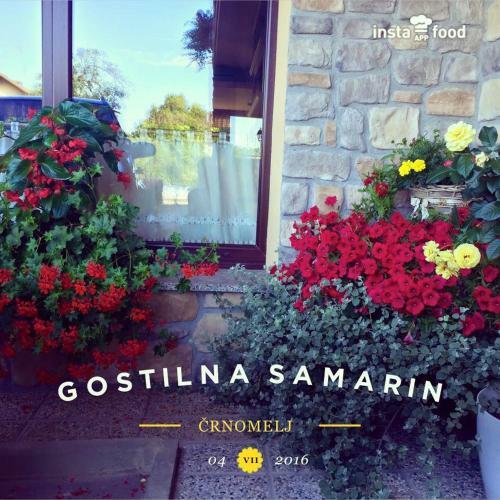 Hostal Gostilna Samarin