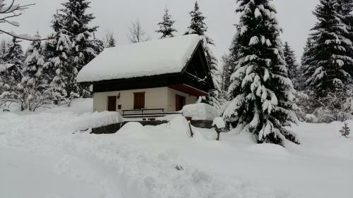 Holiday House Tollazzi