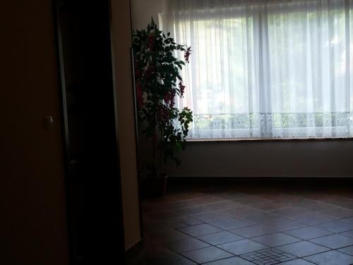 Hostal Gosti??e Keglji??e