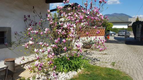 Hostal Apartments & Rooms Vidmar