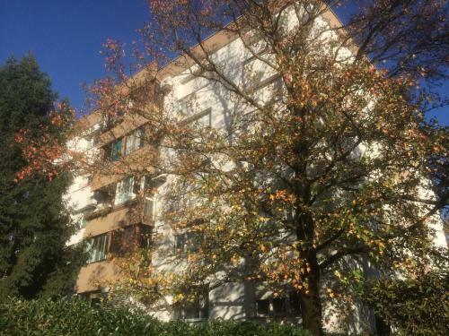 Apartment Saax