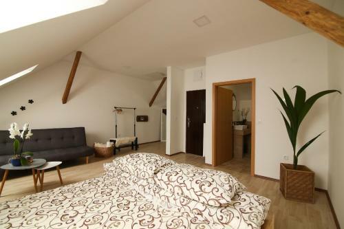 Rooms Je?ek