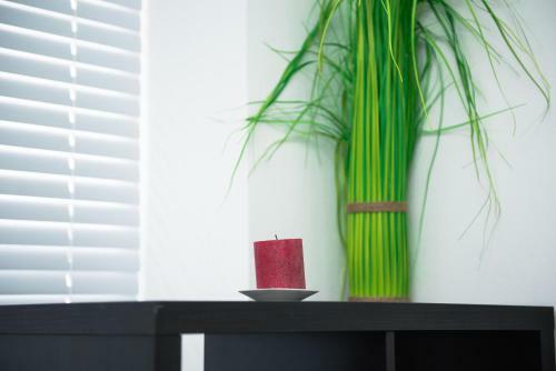 Apartments Trubar