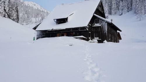 Loka Lodge At Raduha