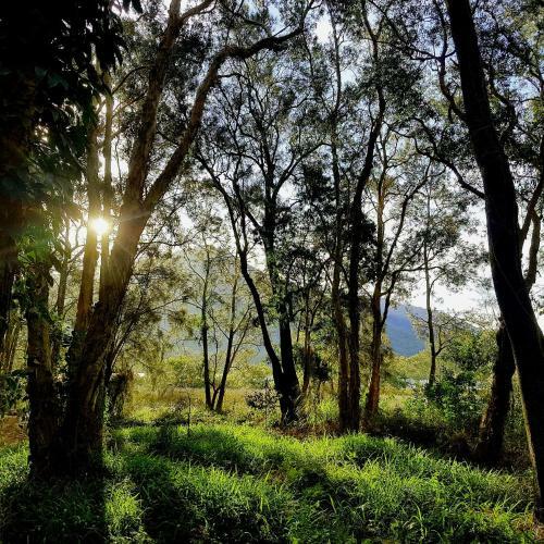 Lodge Treehouse Retreat At Diamond Waters