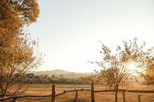 Tracton Homestead