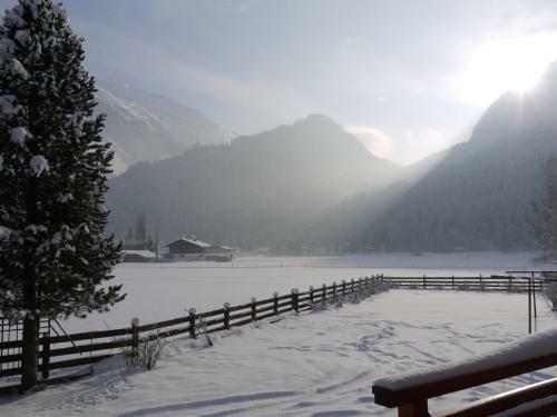Apartment In L�ngenfeld/�tztal 34957