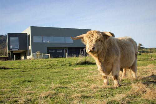 Bed & Breakfast Highland Getaway