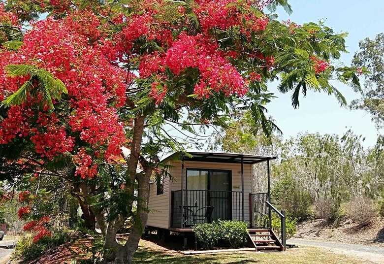 Mt Larcom Tourist Park
