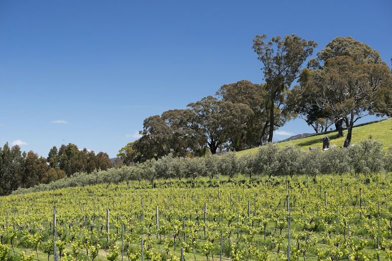 Agroturismo Blue House At Mountainside Wines