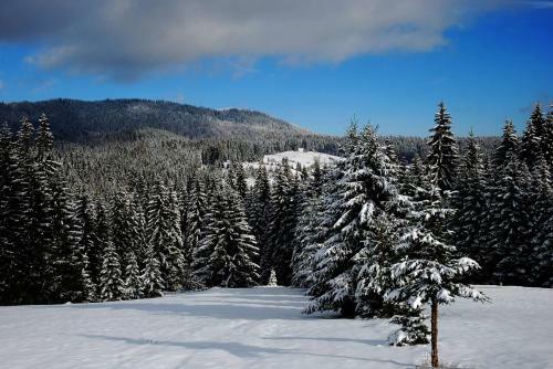Lodge Planinski Kamp Jazav?ije Rupe