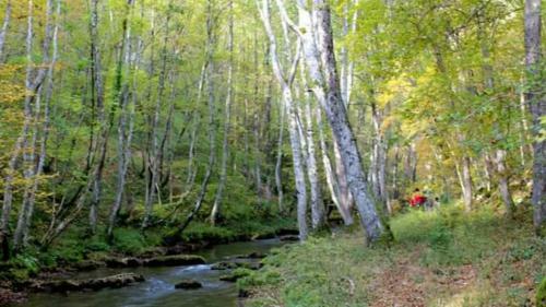 Hostal Seoski Turizam Zili?ina Rogatica