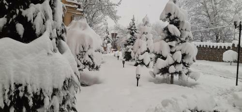 Kaspia Yeddi Gozel Hotel
