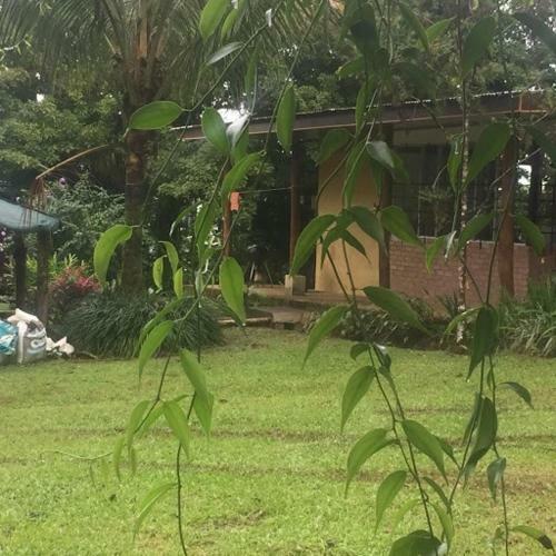 Agroturismo Casa Los Limones