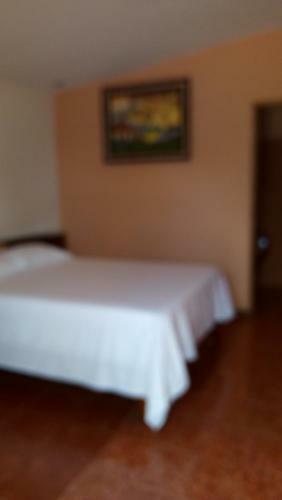 Hotel Cabinas El Tropico