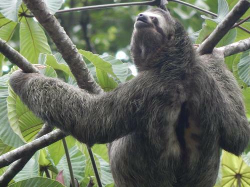 Albergue Monta�a Verde