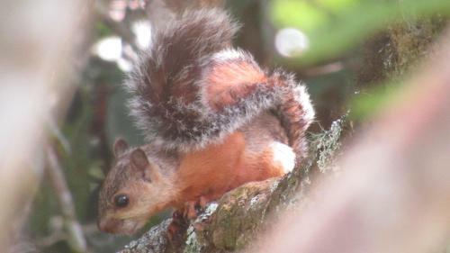 Albergue Monta�a Verde