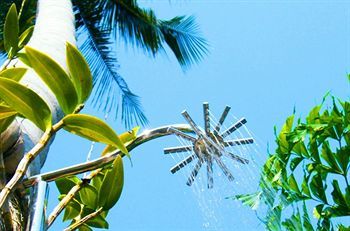 Hotel Cyana Beach Resort