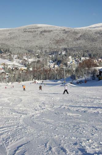 Hostal Penzion Myslivna Harrachov