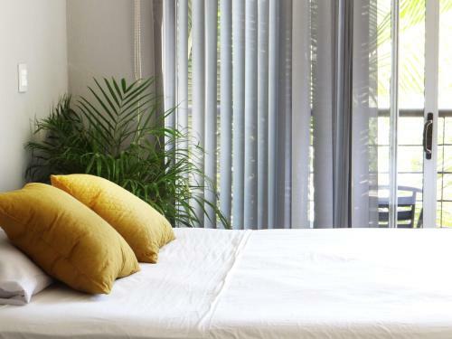 Apartamento Tico Lindo Flats