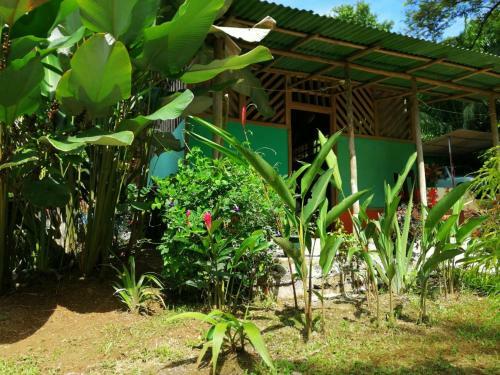 Hostal Garden Of Heliconias Lodge