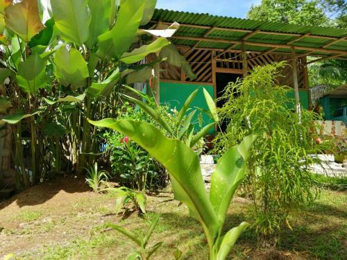 Hostal Garden Of Heliconias Lodge