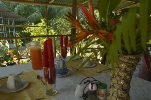 Hostal Garden Of Heliconias Lodge