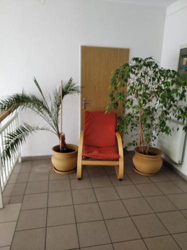 Hostal Kulturn? Spole?ensk� Centrum