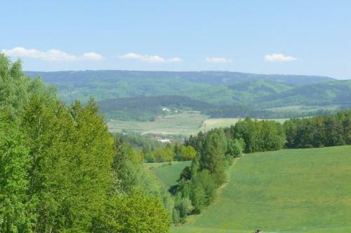 Holiday Home In Ceska Cermna 1036