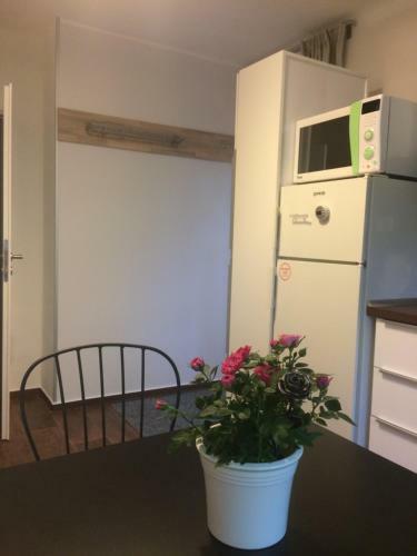 Apartm�n Brno Jelenice