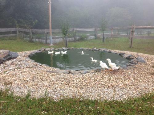 Agroturismo Farma Noe